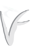 IF
